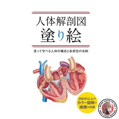 Human Anatomy Coloring Book: Learn about the structure of the human body and the