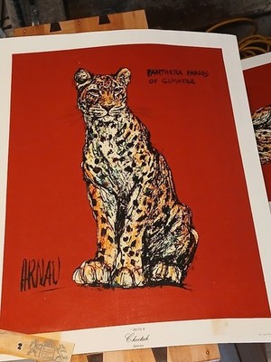 ''Panthera Pardus of Sumatra''  Lithograph by Arnau