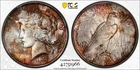 1922 Silver Peace Dollar Pcgs Ms63 Unique Toning