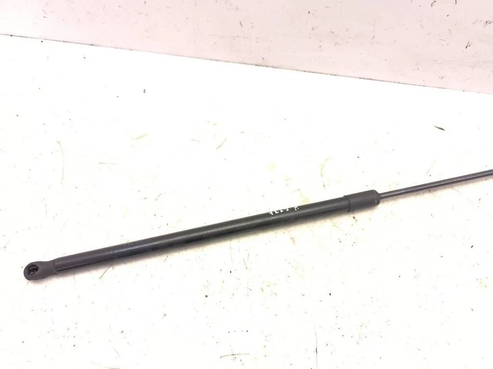 Volkswagen New Beetle 2009 1.6 Ant. Cofano Montante Ammortizzatore 1C0823359E Foto 2 de 4