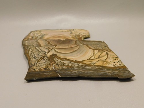 Blue Biggs Picture Jasper Polished Collector Stone Slab Oregon #O10 - Picture 5 of 7