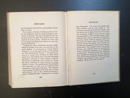 Chicago and Its Cess-Pools of Infamy- Samuel Paynter Wilson HC Boook - Picture 20 of 23
