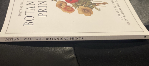 Instant Wall Art - Botanical Prints: 45 Ready-To-Frame Vintage Illustrations - Bild 6 von 6