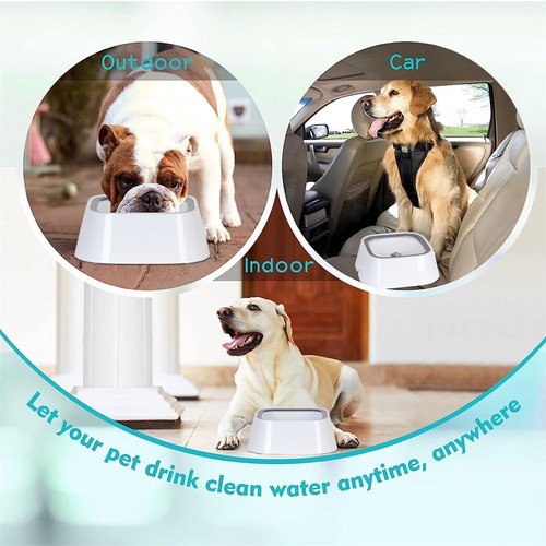 No Spill Dog Water Bowl Pet Water Feeder Dispenser Cat Bowl Vehicle Travel 2L - Picture 7 of 12