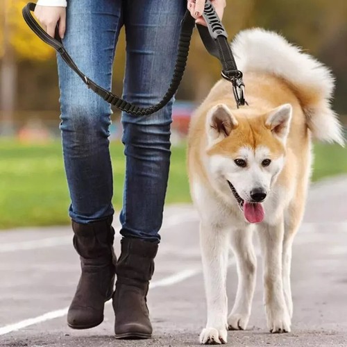 Schwere Bungee Jumping Hundeleine mit bequemem Schwamm Doppelgriff Hundekette - Bild 5 von 11