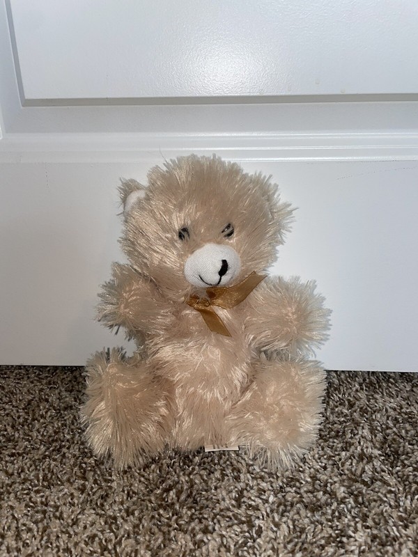 Bear stuffed animal