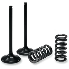Prox Valve and Spring Kit | 28.SIS2444-2