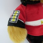 Bild 10 von 21