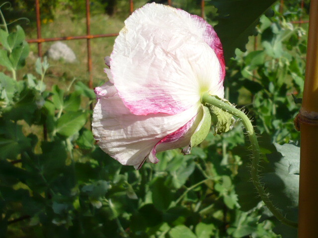 Foto 19 di 24