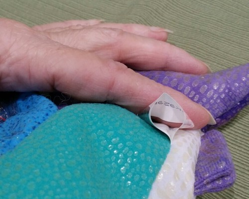 Ty Beanie Baby Propeller the Flying Fish MWMT 2001 Retired  - Picture 4 of 5