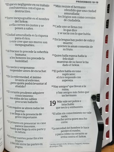 Biblia NVI Letra Gigante 14 Puntos Piel Fabricada Negro Con Indice - Picture 6 of 7