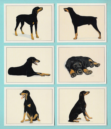 DOGS - DOBERMANN - SET OF L6 CARDS - IMP. PUBLISHING LTD. - 1999 - Picture 1 of 2