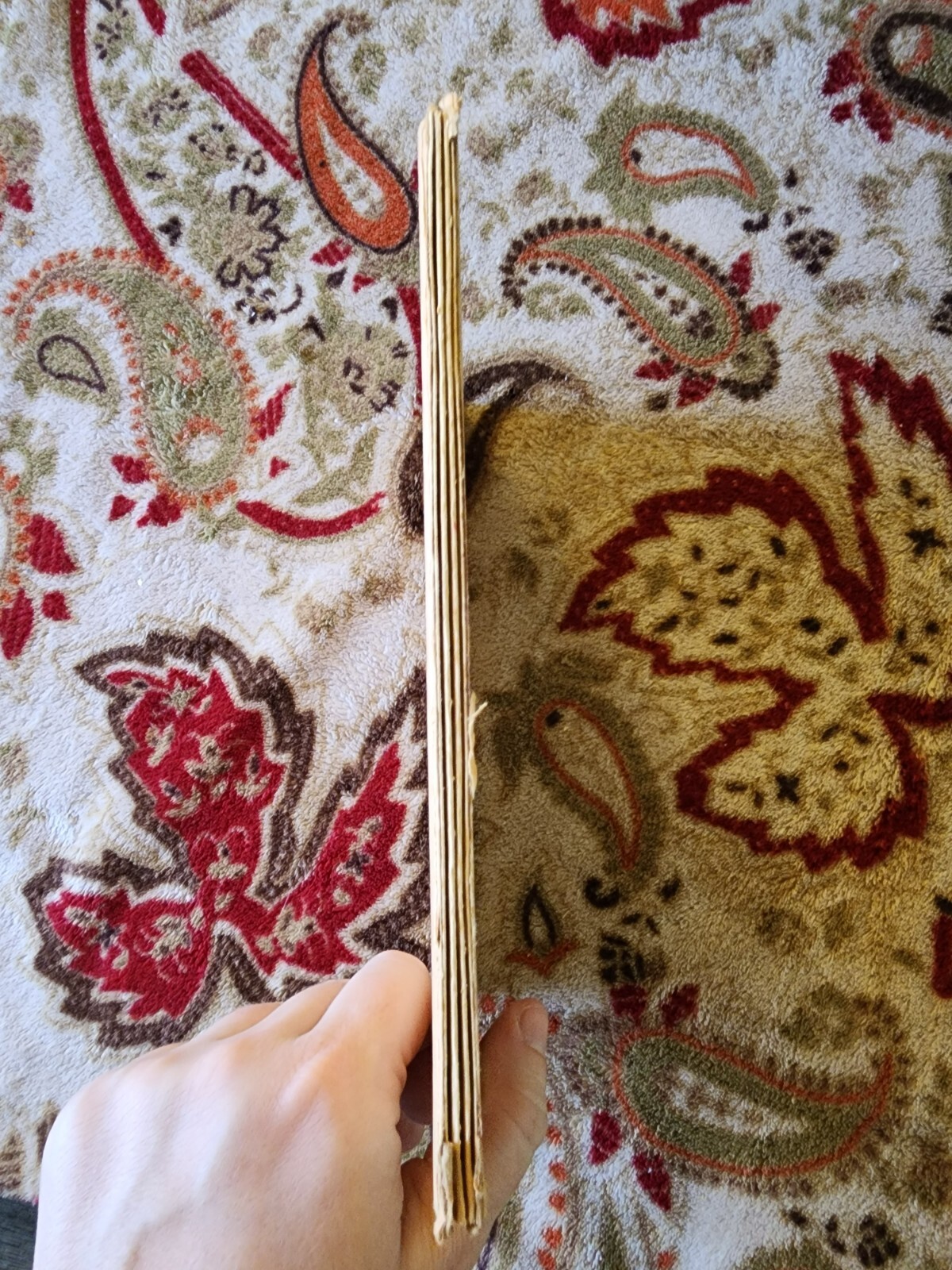 Picture 3 of 6