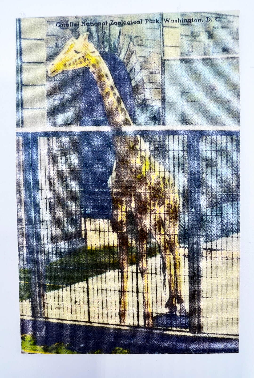 Picture 16 of 22
