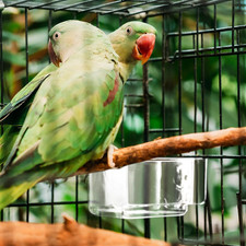4 Pcs Bird Cage Feeder Food Water Feeder for Cage Feeding Drinking Bowl Seed ...