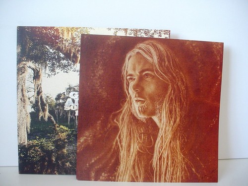GREGG ALLMAN Southern Blood HARDWOOD COLOR VINYL 2017 ROUNDER 11166100055 - Picture 5 of 8