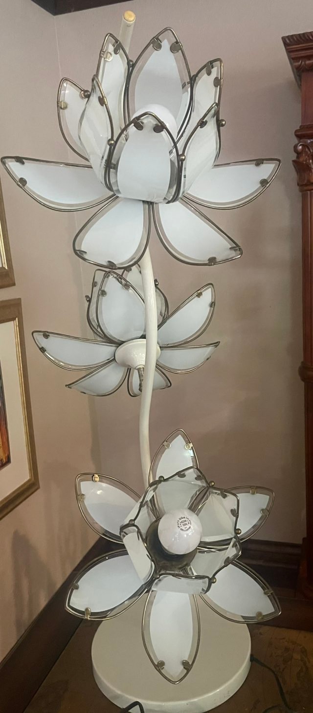 Picture 5 of 12