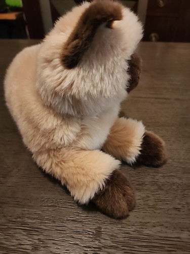 SEBASTIAN el Peluche Gato del Himalaya Peluche Douglas Cuddle Toys 19" - Imagen 5 de 10