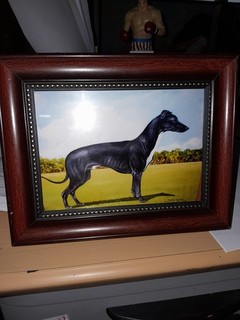 Framed Photograph Of Master McGrath Greyhound Painting By Rev W.J.Watson M.B.E
