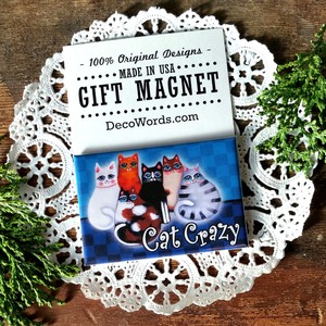 CAT-CRAZY-Fridge-magnet-Rescue-Shelter-Kitty-Lover-Lady-Made-in-USA-New-Pkgd