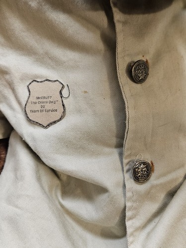 Scruff McGruff the Crime Dog Puppet 26" "Take A Bite Out Of Crime" Plush - Picture 2 of 7