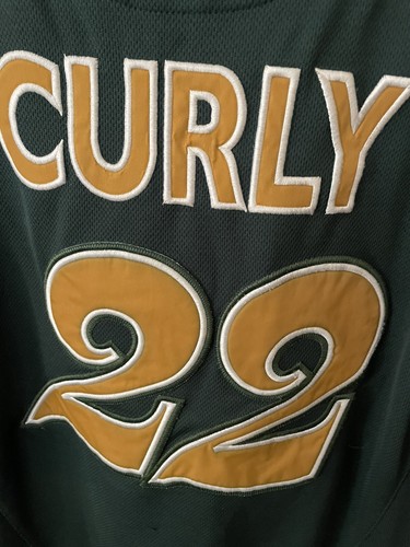 Fred ""Curly"" Neal Harlem Globetrotters FUBU platingrün Basketball Trikot LG - Bild 7 von 7