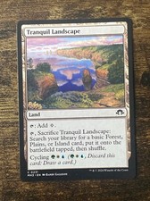 Tranquil Landscape 0231 Modern Horizons 3 MH3 MTG Magic The Gathering S2414*