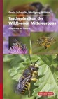 Taschenlexikon der Wildbienen Mitteleuropas von Erwin Scheuchl und Wolfgang Willner (2016, Gebundene Ausgabe)