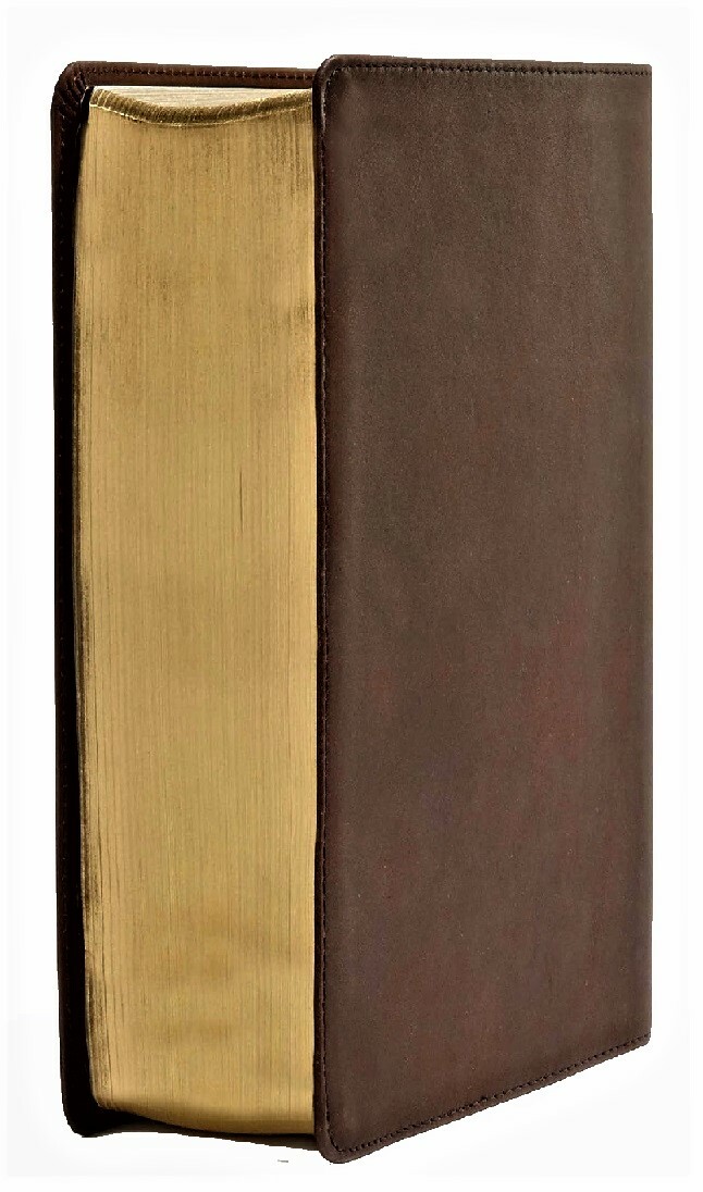 Foto 2 di 8
