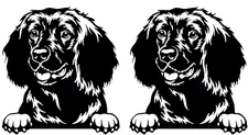 American Water Spaniel Two PK Black Vinyl Decal Car Truck Laptop Tablet Tumbler