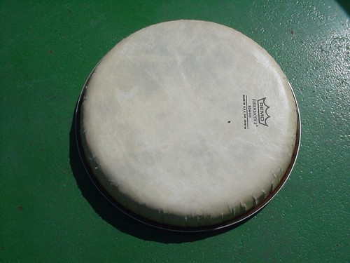Remo Fiberskyn 2 Bongo Drum Head unused NOS - Picture 6 of 24