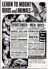 1958 Print Ad Northwestern School of Taxidermy Mount Animals Omaha,NE