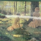 Bild 5 von 11