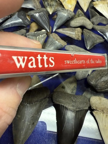 💡 1997 WATTS SWEETHEARTS OF THE RADIO DEMO ROCK BOSTON MASSACHUSETTS - Imagen 4 de 6