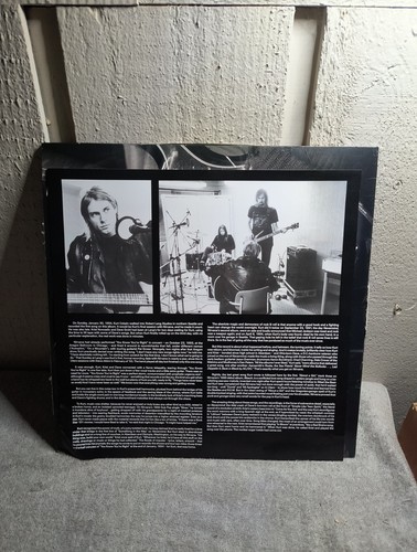 Nirvana - Selbstbetitelte LP exklusives rauchfarbenes Vinyl sehr guter Zustand + - Bild 4 von 13