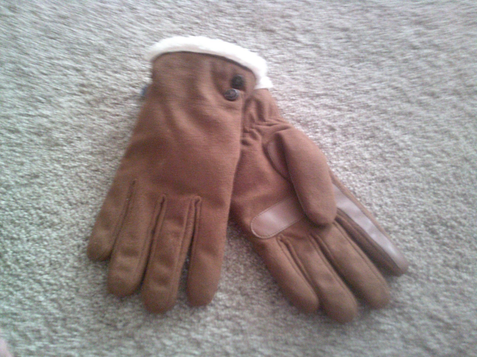Picture 2 of 2