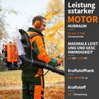 Bild 9 von 12