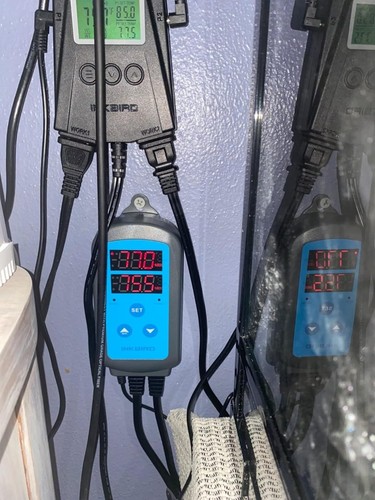 Inkbird Humidity Thermostats WiFi IHC-200 Fan Controller Humidistat Humidifier - Picture 20 of 24