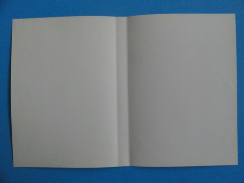 PLAYSTATION 2 OVER THE HEDGE ARTE DE PORTADA ORIGINAL *SIN JUEGO NI ESTUCHE* - Imagen 2 de 2