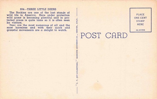 Three Little Deer Vintage Chrome Northern Pacific Vintage PC - Picture 2 of 2