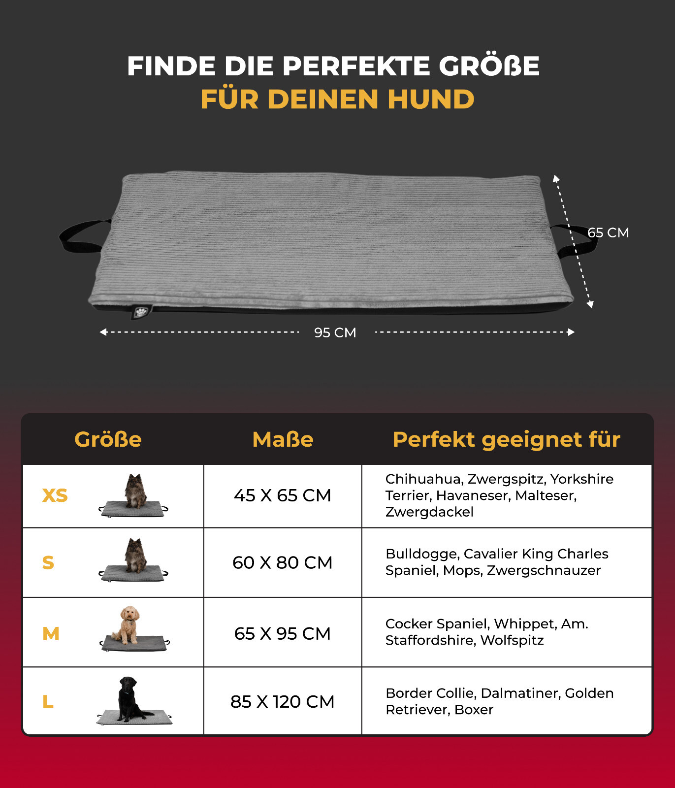 Bild 22 von 30