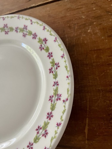 Rare Theodore Haviland Limoges France Northern Pacific Railroad Co Dinner Plate - Picture 4 of 8