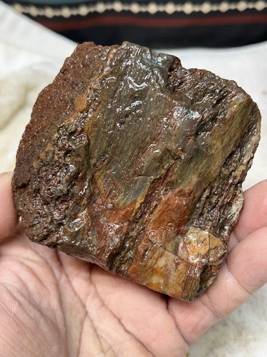 Madera petrificada Hampton Butte roja y verde stock antiguo de 1 lb 9 oz. Lapidario áspero - Imagen 5 de 9