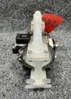 Foto 7 di 8