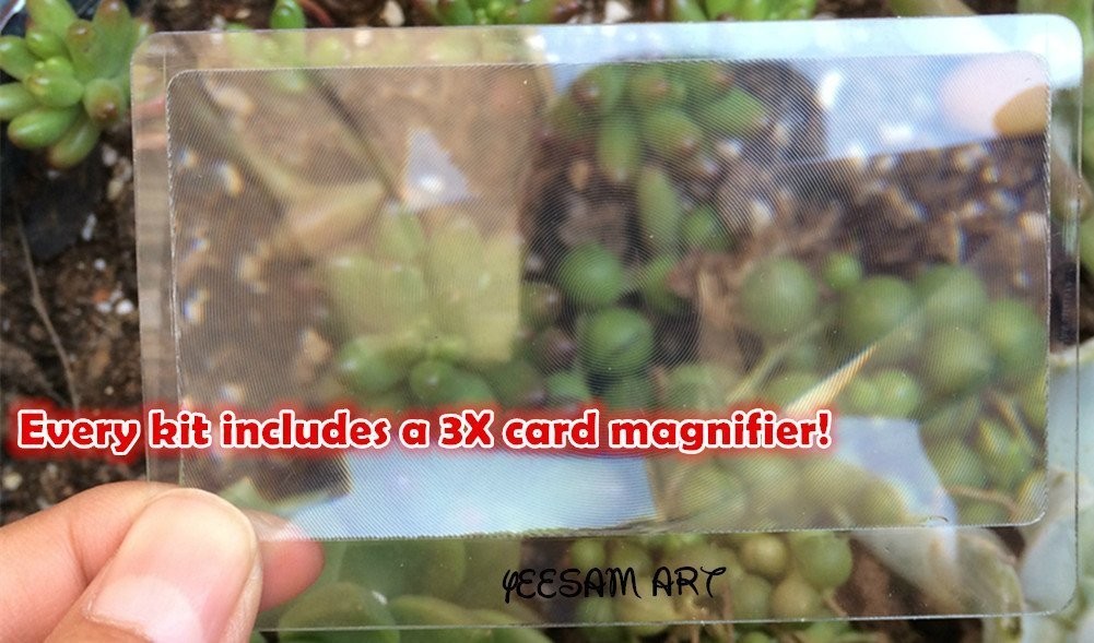 Foto 5 di 5