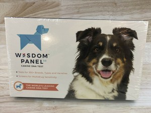 wisdom panel 3