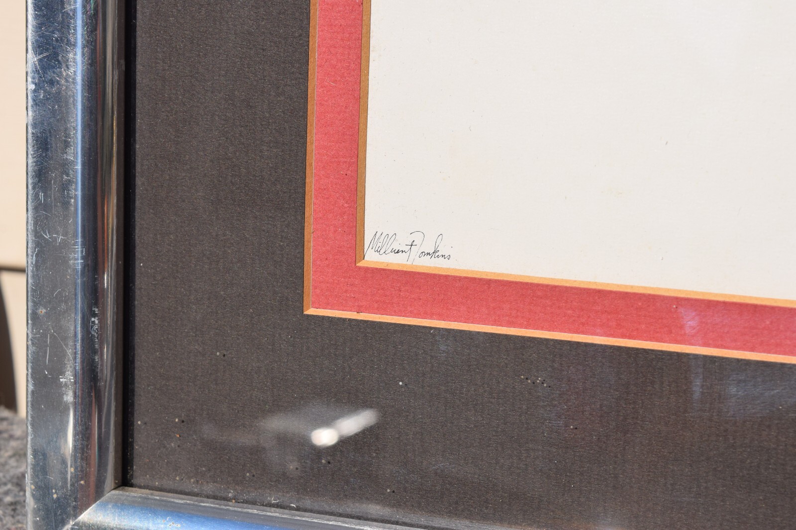 Picture 5 of 8