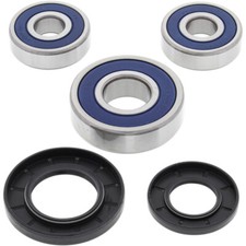 All Balls Wheel Bearing Kit - Double Seal - Rear | 25-1344