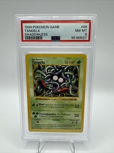 Tangela #66 [Shadowless PSA 8 NM-MT] 1999 Pokemon Base
