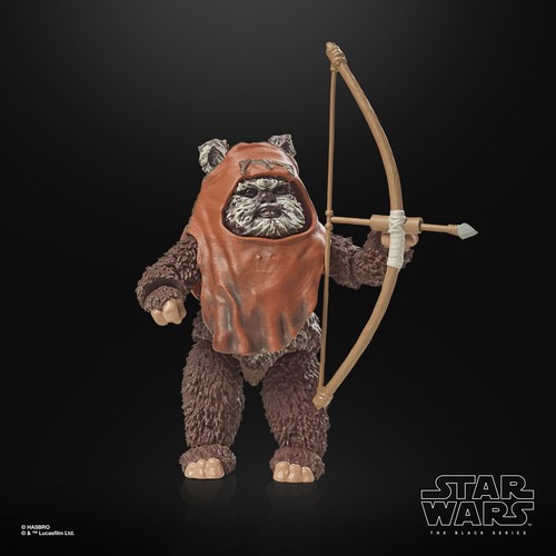 FIGURA WICKET THE EWOK STAR WARS SERIE NEGRA ROTJ 40 ANIVERSARIO ESCALA 6 PULGADAS - Imagen 18 de 19